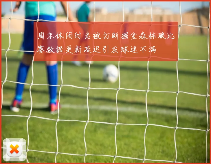 周末休闲时光被打断掘金森林狼比赛数据更新延迟引发球迷不满