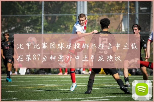 比甲比赛因球迷投掷水杯击中主裁在第87分钟意外中止引发热议