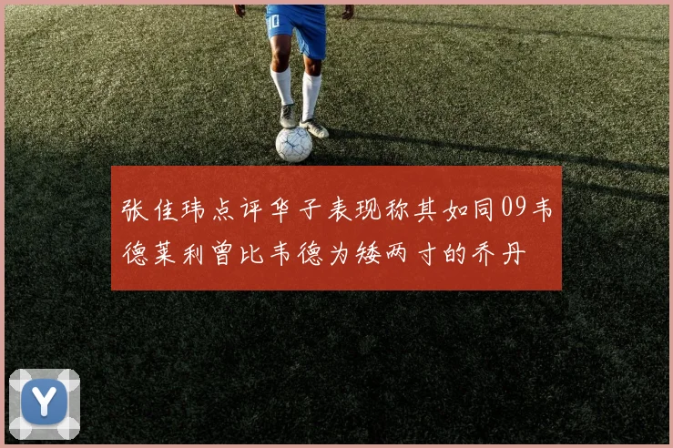 张佳玮点评华子表现称其如同09韦德莱利曾比韦德为矮两寸的乔丹